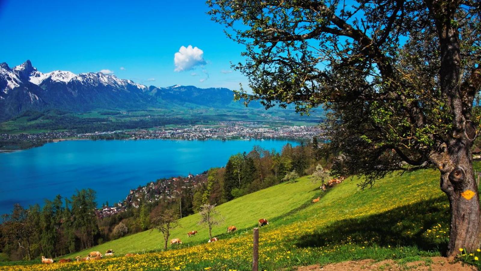 Swiss Landscape Wallpaper