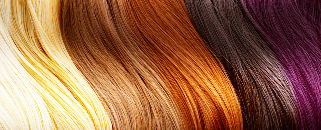 Bargain Hair Color Professional Care And Products