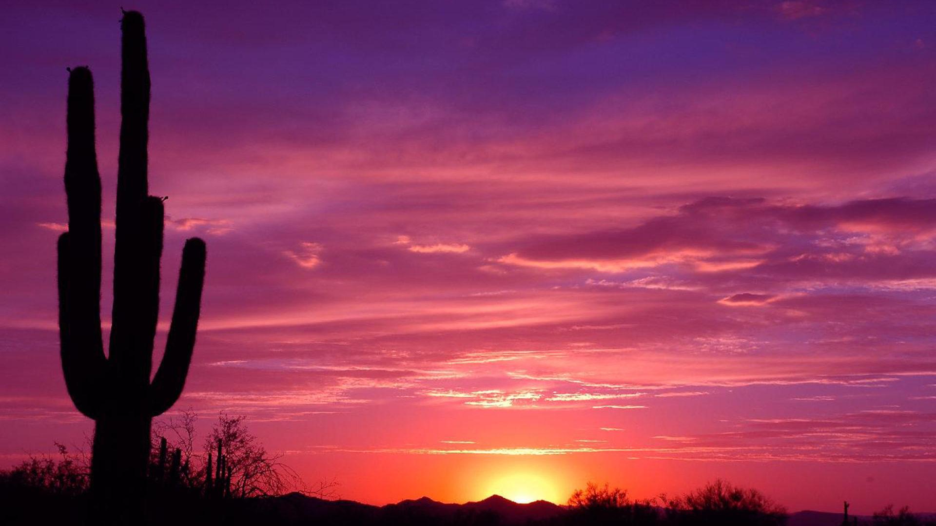 Arizona Sunset Desert Area Orange Sun Red   plingcom