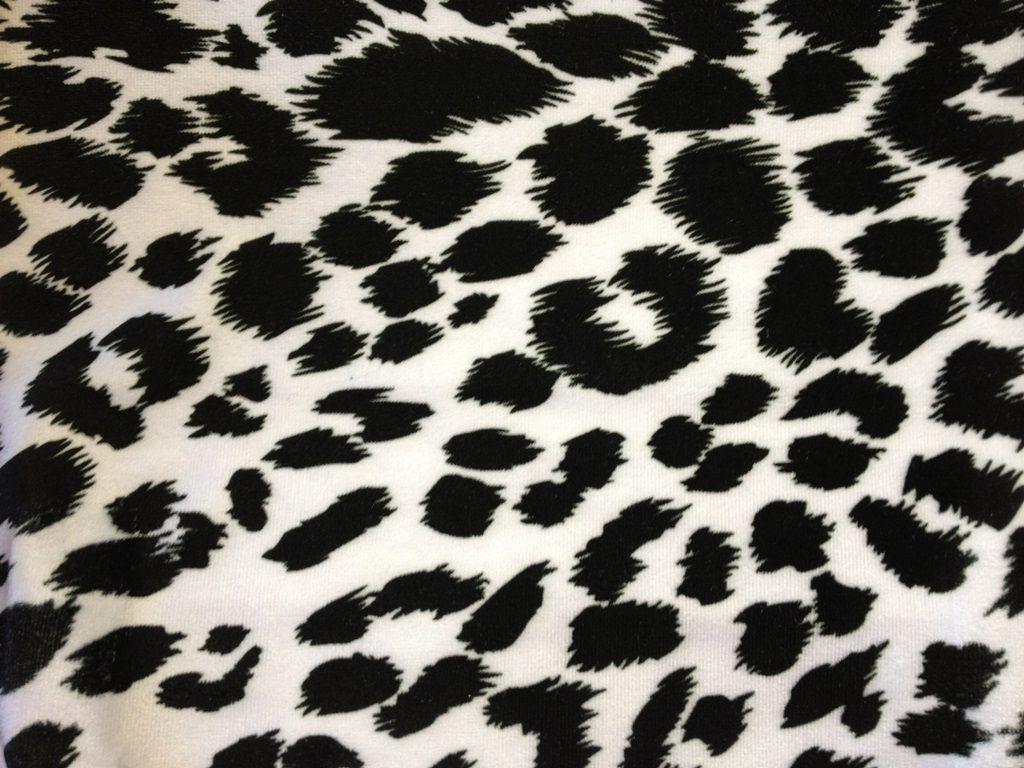 Black Cheetah Wallpaper