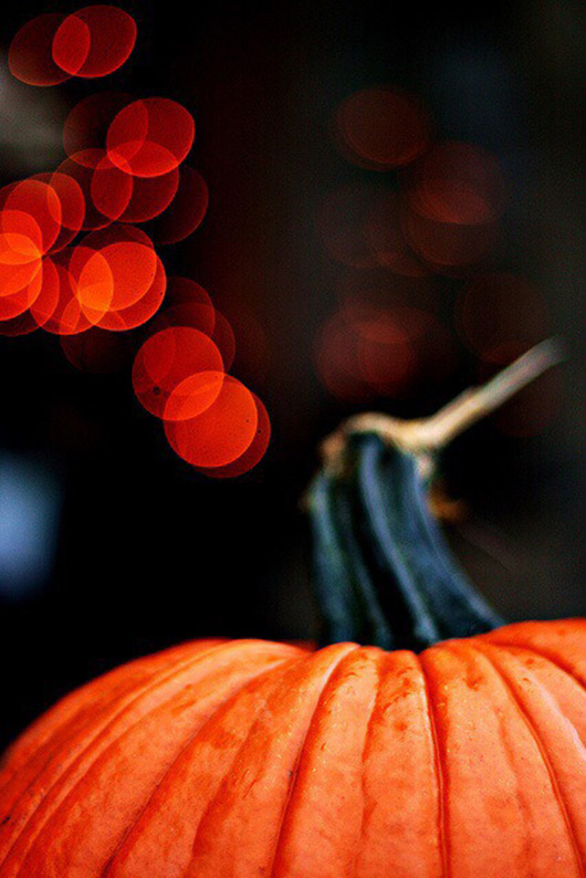 Silent And Scary iPhone Halloween Wallpaper