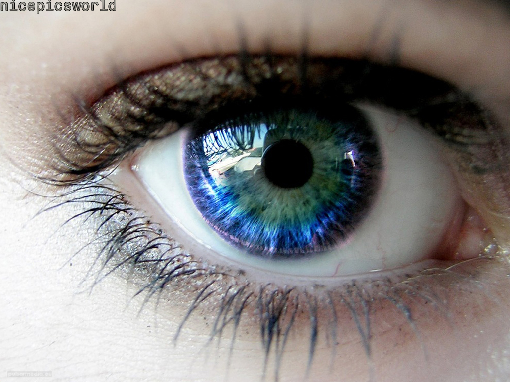 Pictures World Beautiful Eyes Wallpaper