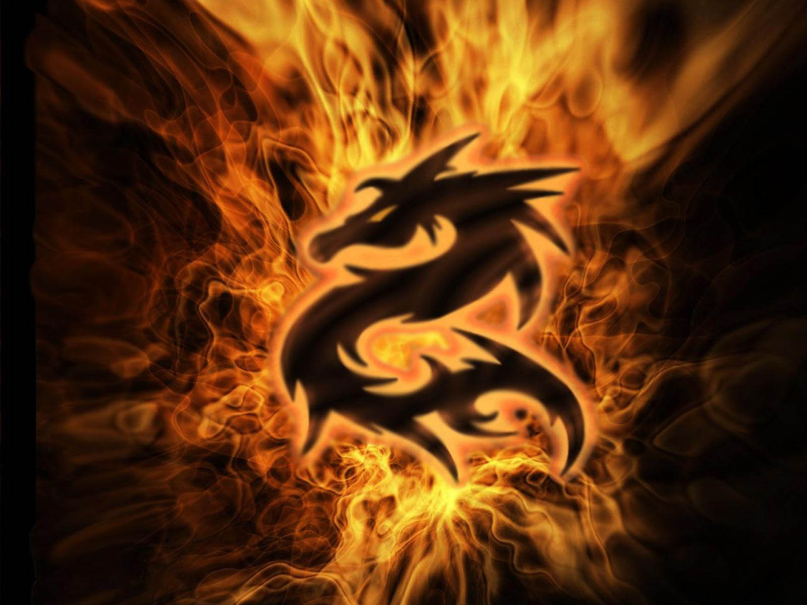 Dragon Wallpaper Image Photos Pictures And Background For
