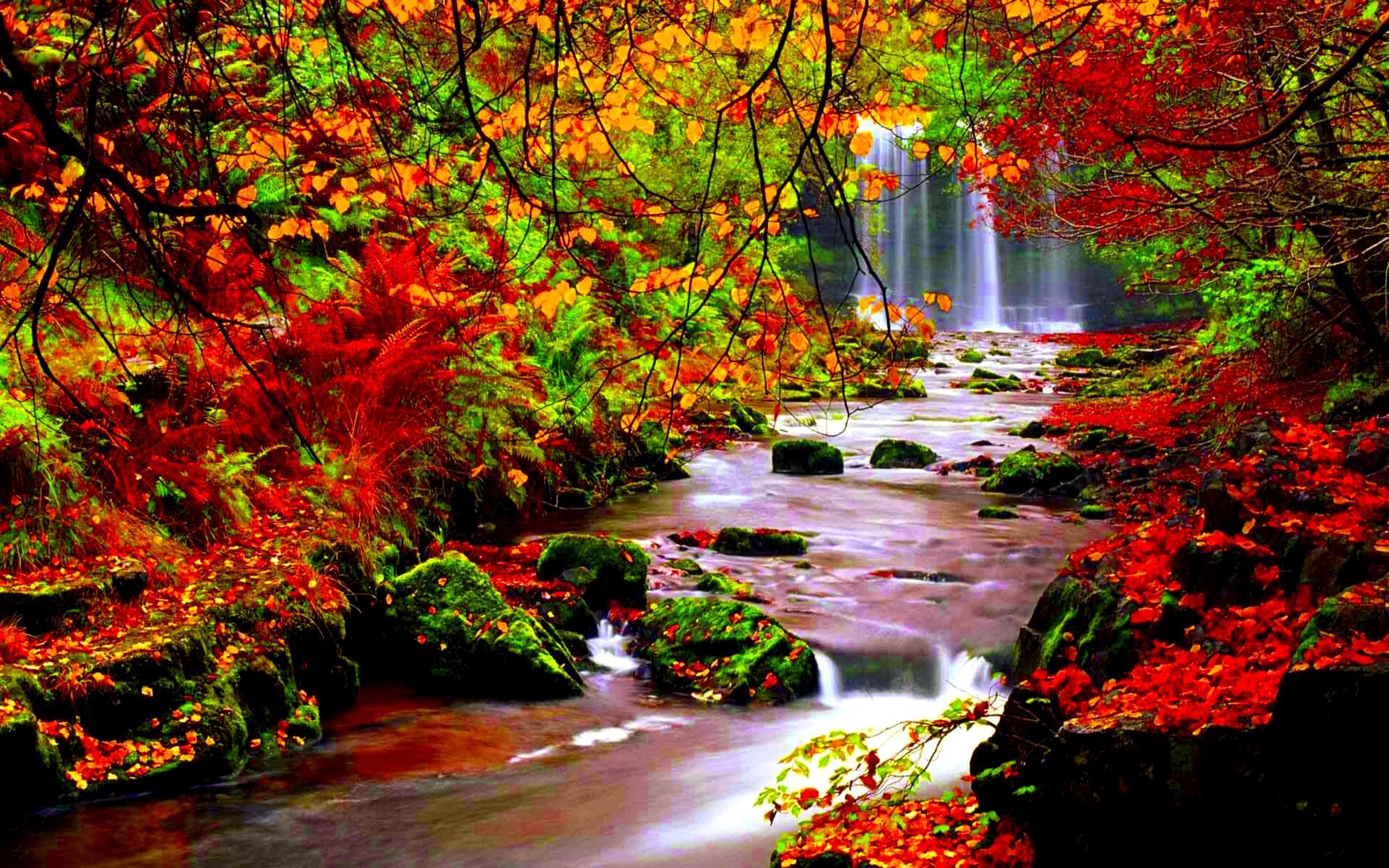 Autumn River Wallpaper Full HD Fall
