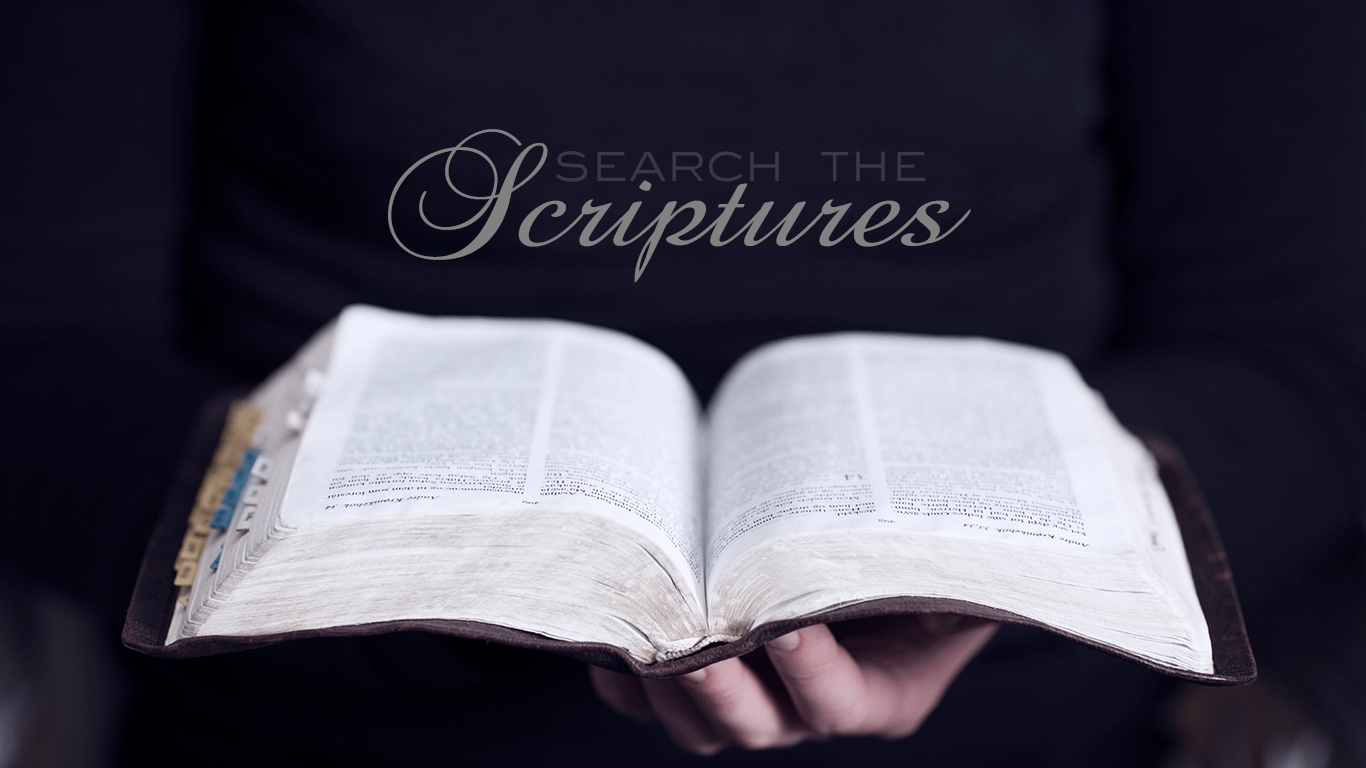 search the scriptures open bible christian wallpaper hd 1366x768