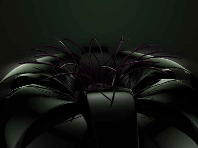 Black Flower With Soft Lighting Wallpaper Walltor