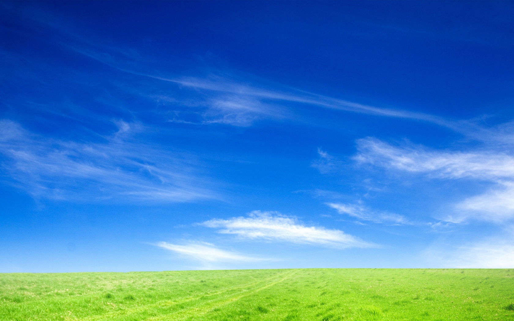 Blue Sky And Green Grass Wallpaper HD