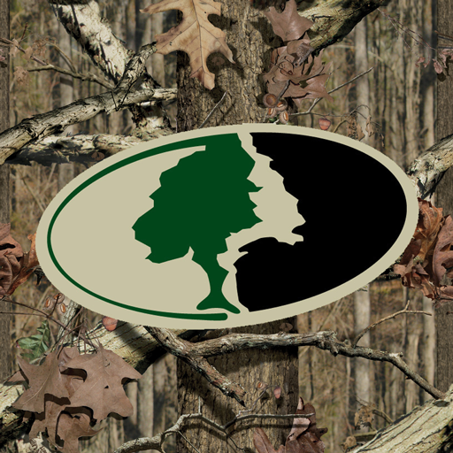 Mossy Oak Logo Wallpaper Camo HD