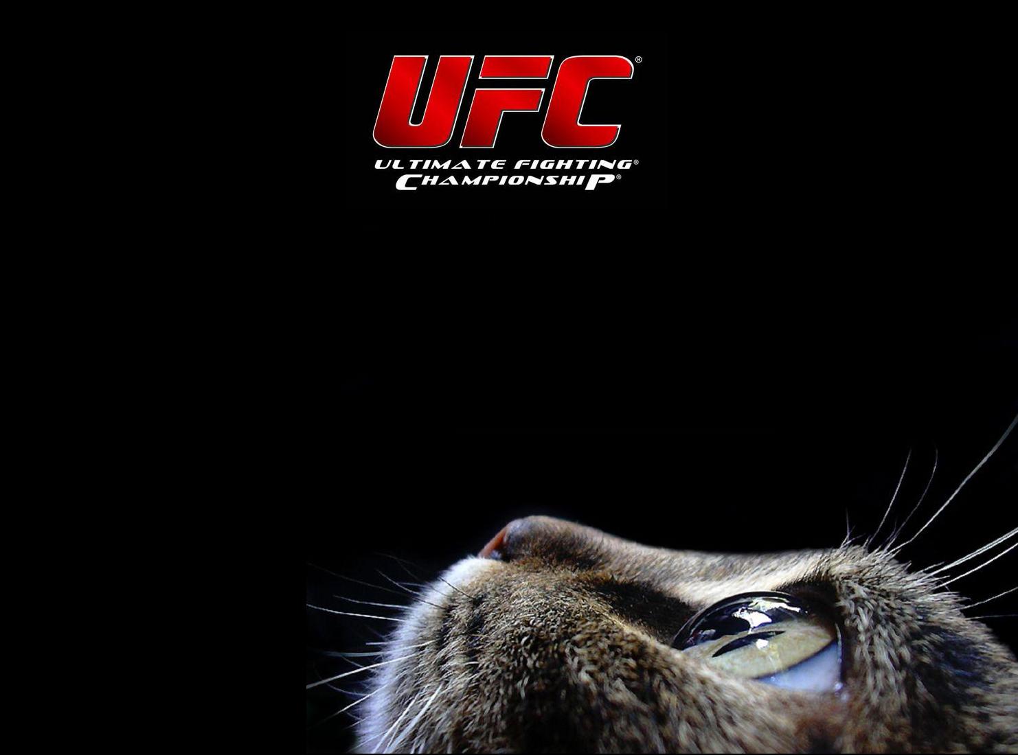 Logo Title Cat Mma Mixed Martial Arts Wallpaper Background Jpg