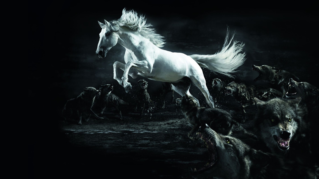 White Horse Wolf Wallpaper HD