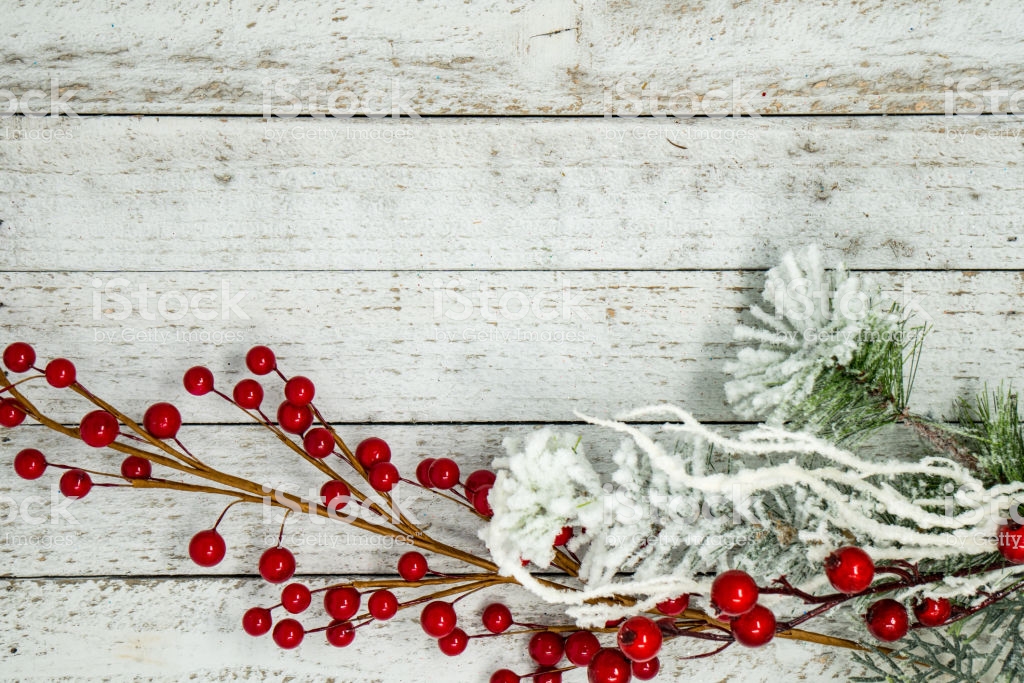 White Flocked Branches Twigs And Berries Isolated On Wood