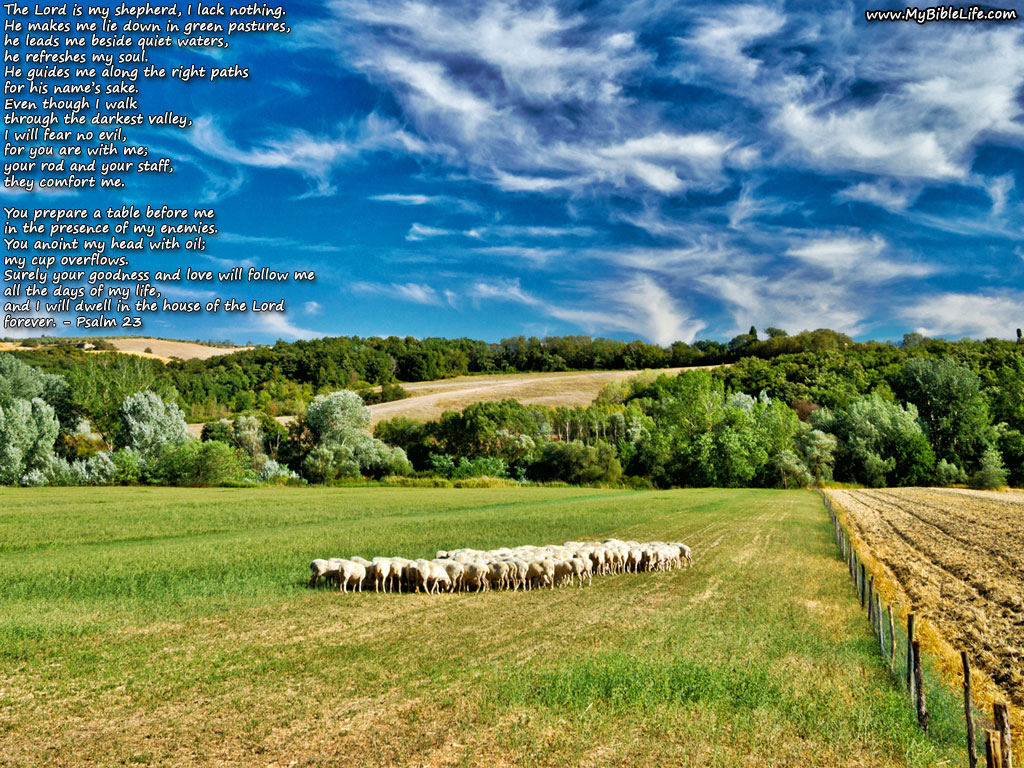 Psalm Desktop Background