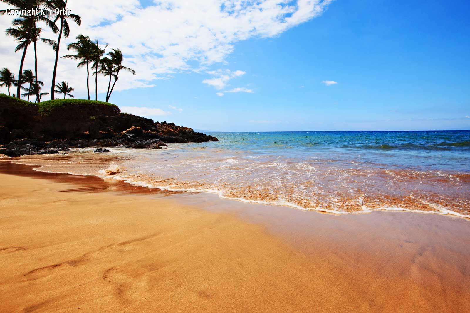 Golden Sands Of Ulua Beach Maui Hawaii Pictures