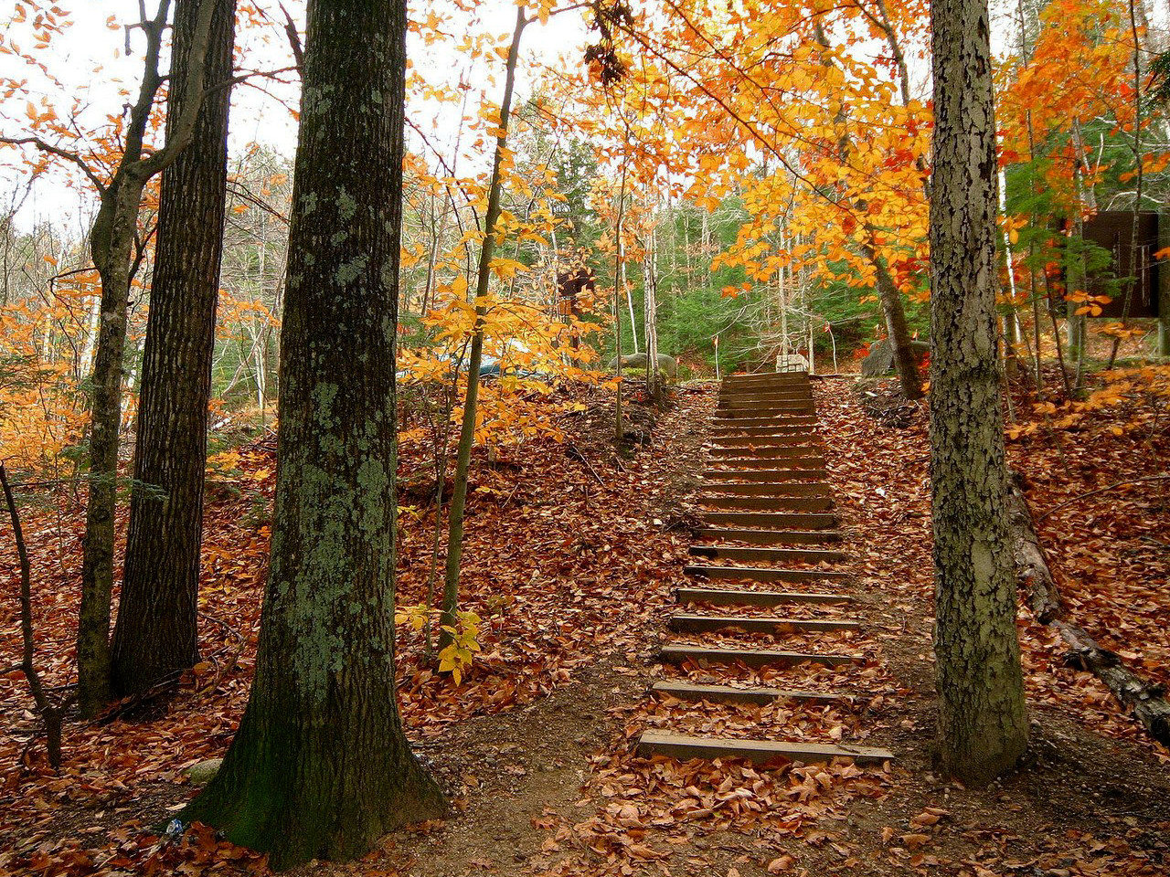 Autumn Scenic Wallpaper In Hd