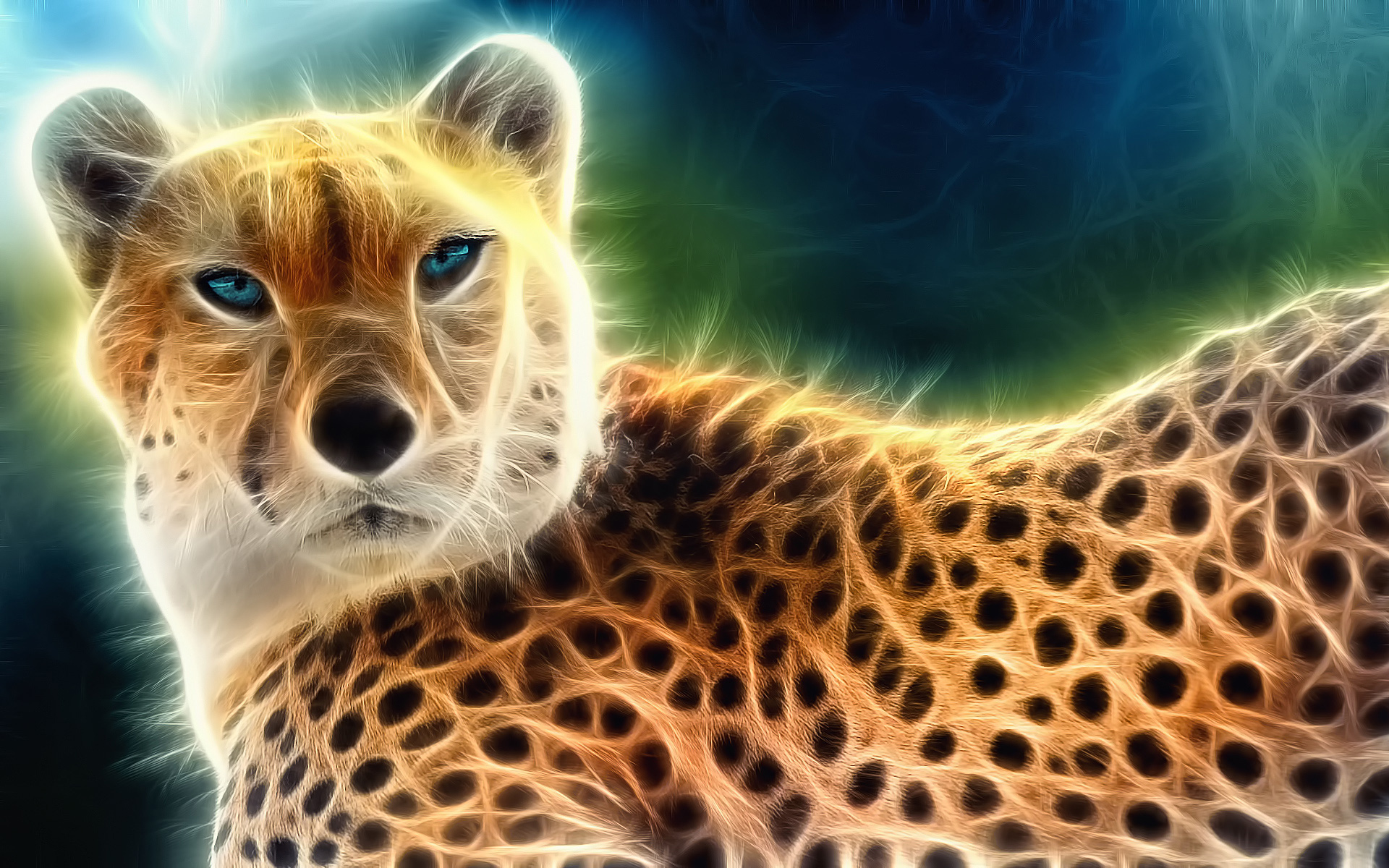 Cool Animal Background Light Gepard Wallpaper Collection