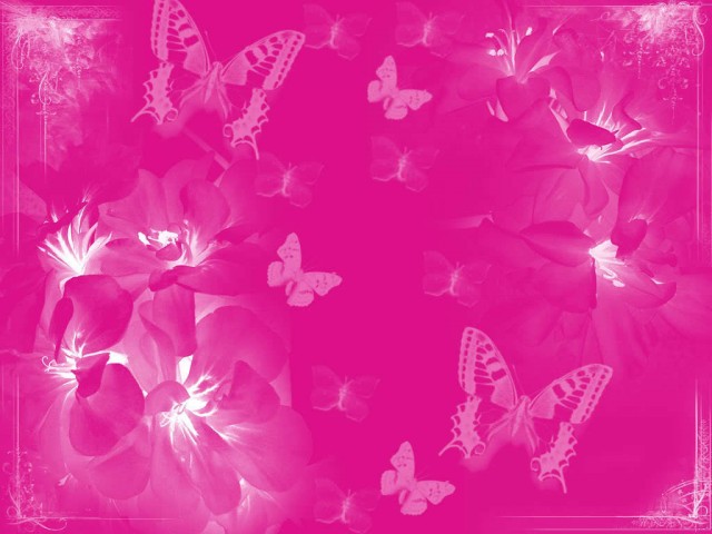 Awesome Pink Butterfly Wallpaper Background Wallsev