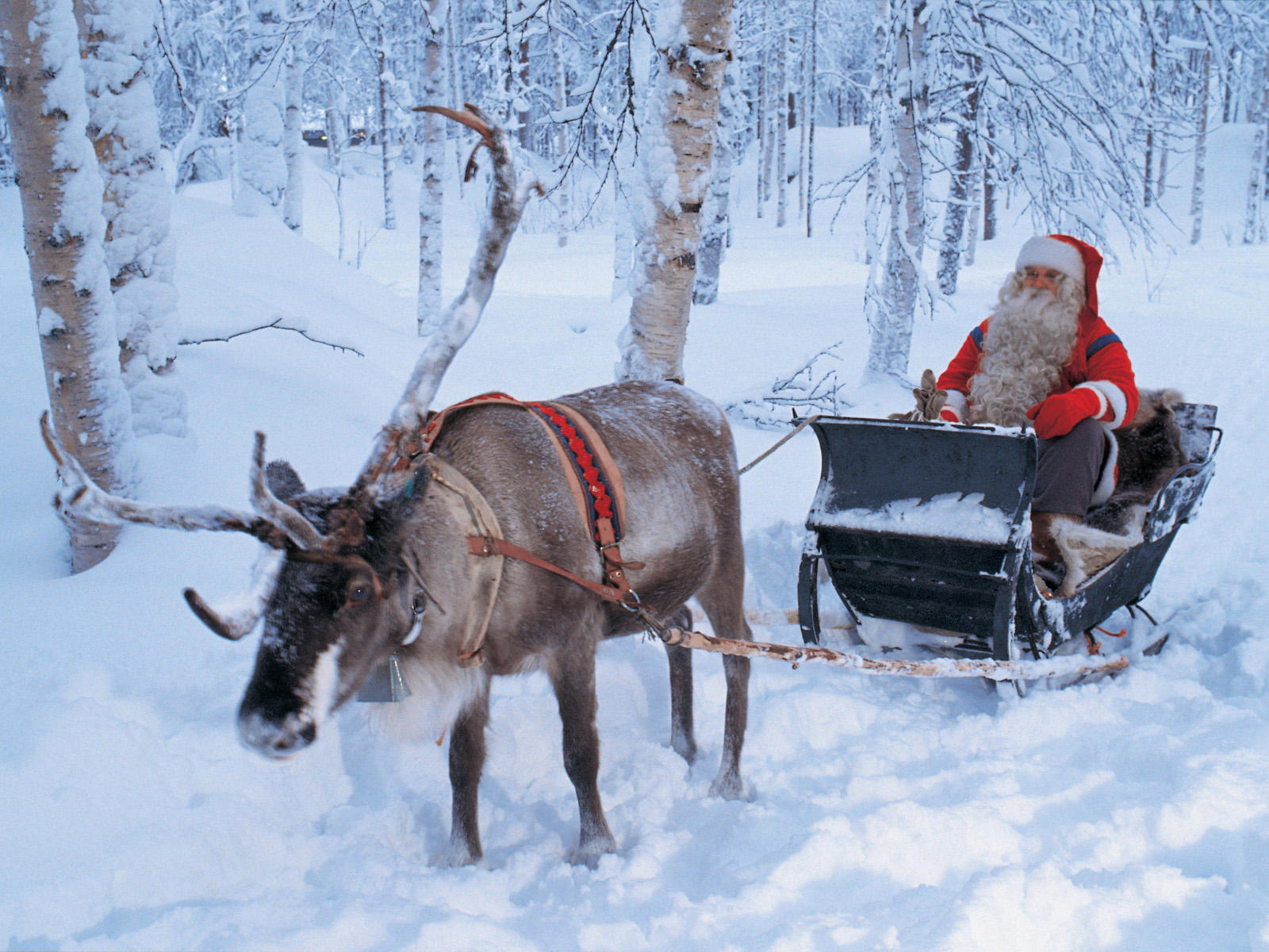 Santa Claus Reindeer Desktop Background Hivewallpaper