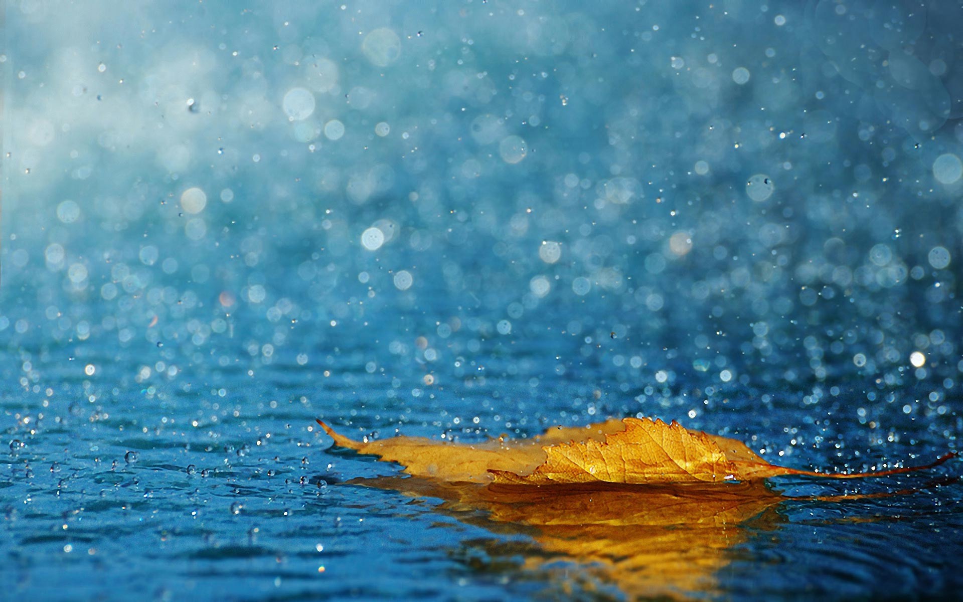Beautiful Rain Wallpaper