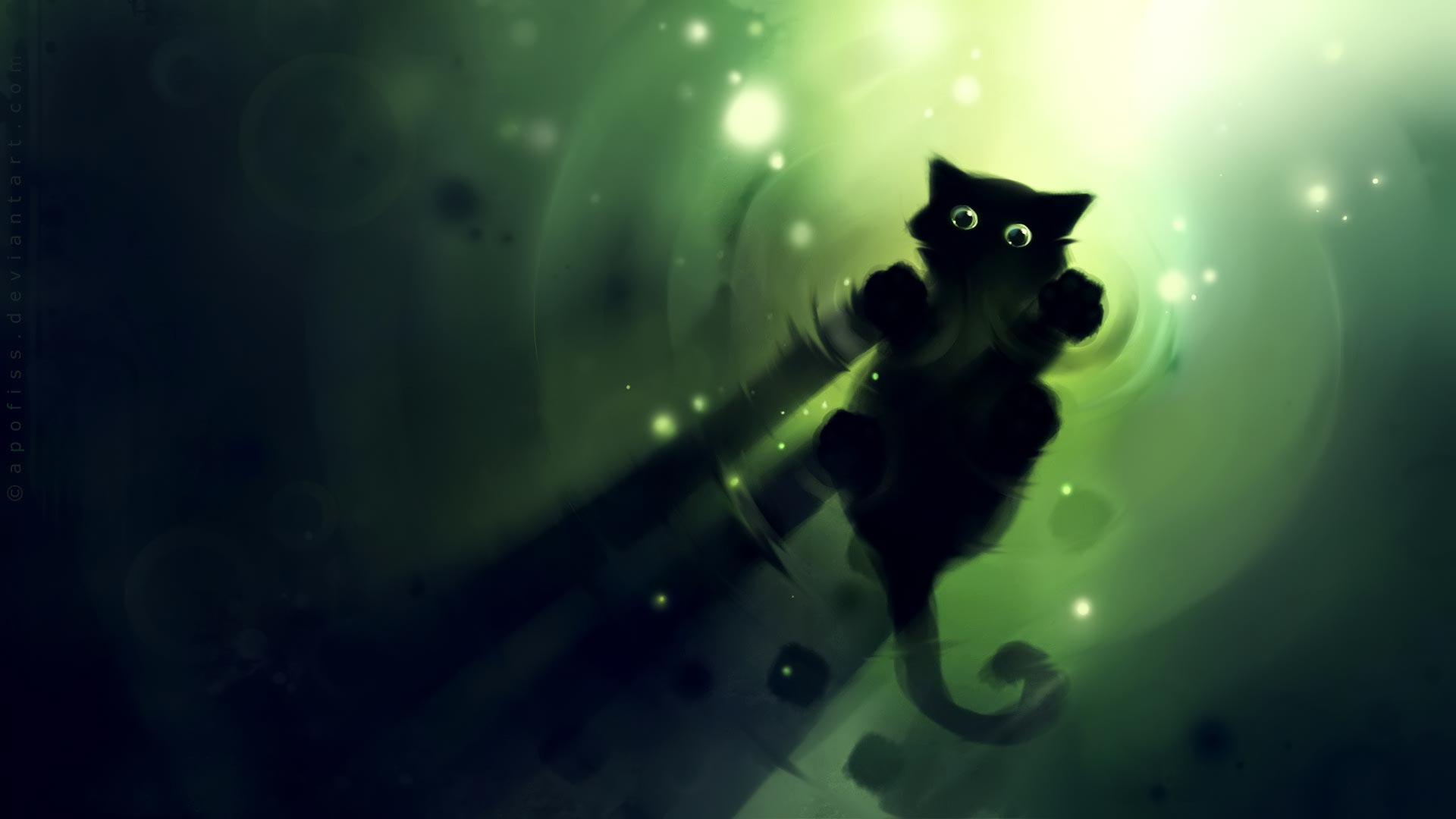 Nocturnal Kitten HD Wallpaper In High Resolution For
