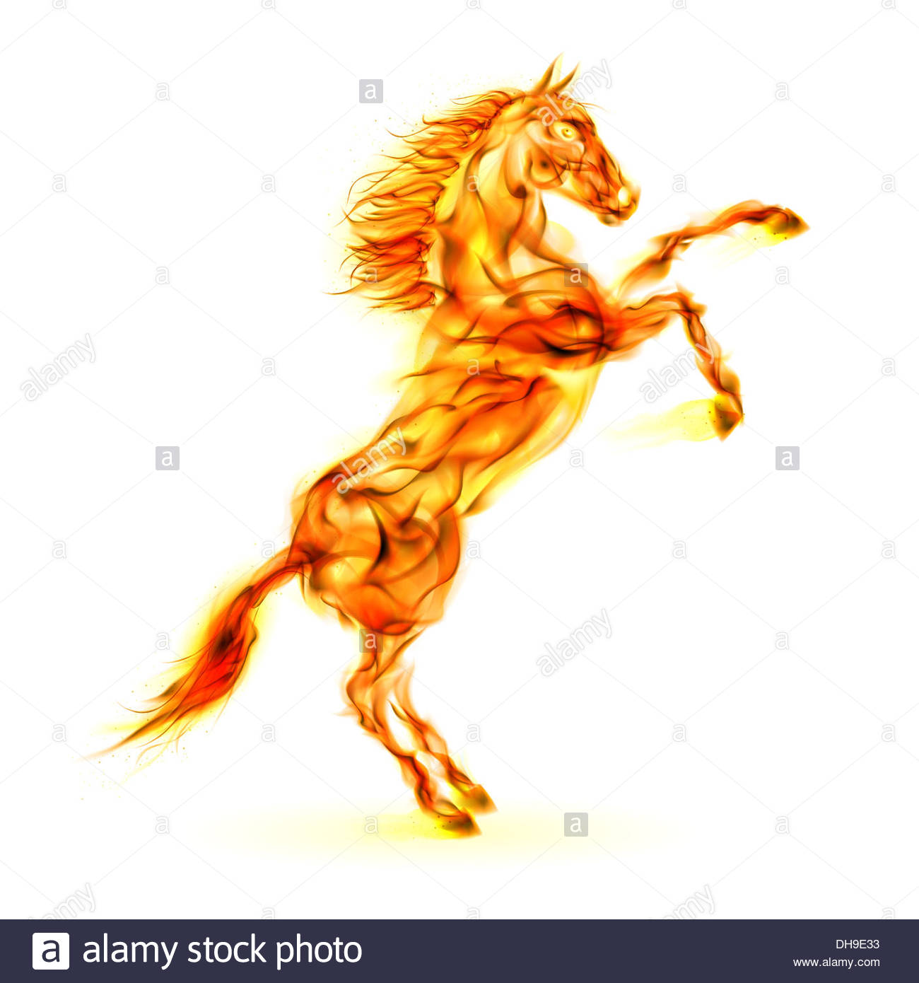 Free download Fire horse rearing up Illustration on white background