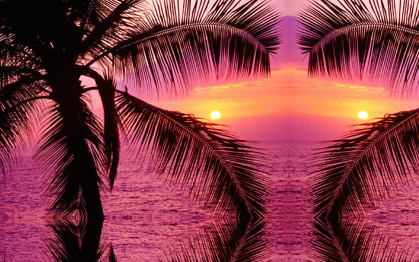 Pink Tropical Backgrounds Pink Tropical Themes