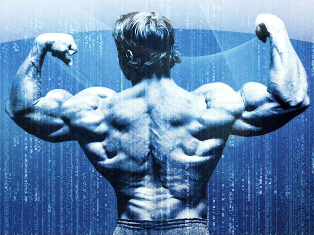 Top Conquer Arnold Wallpaper Image For