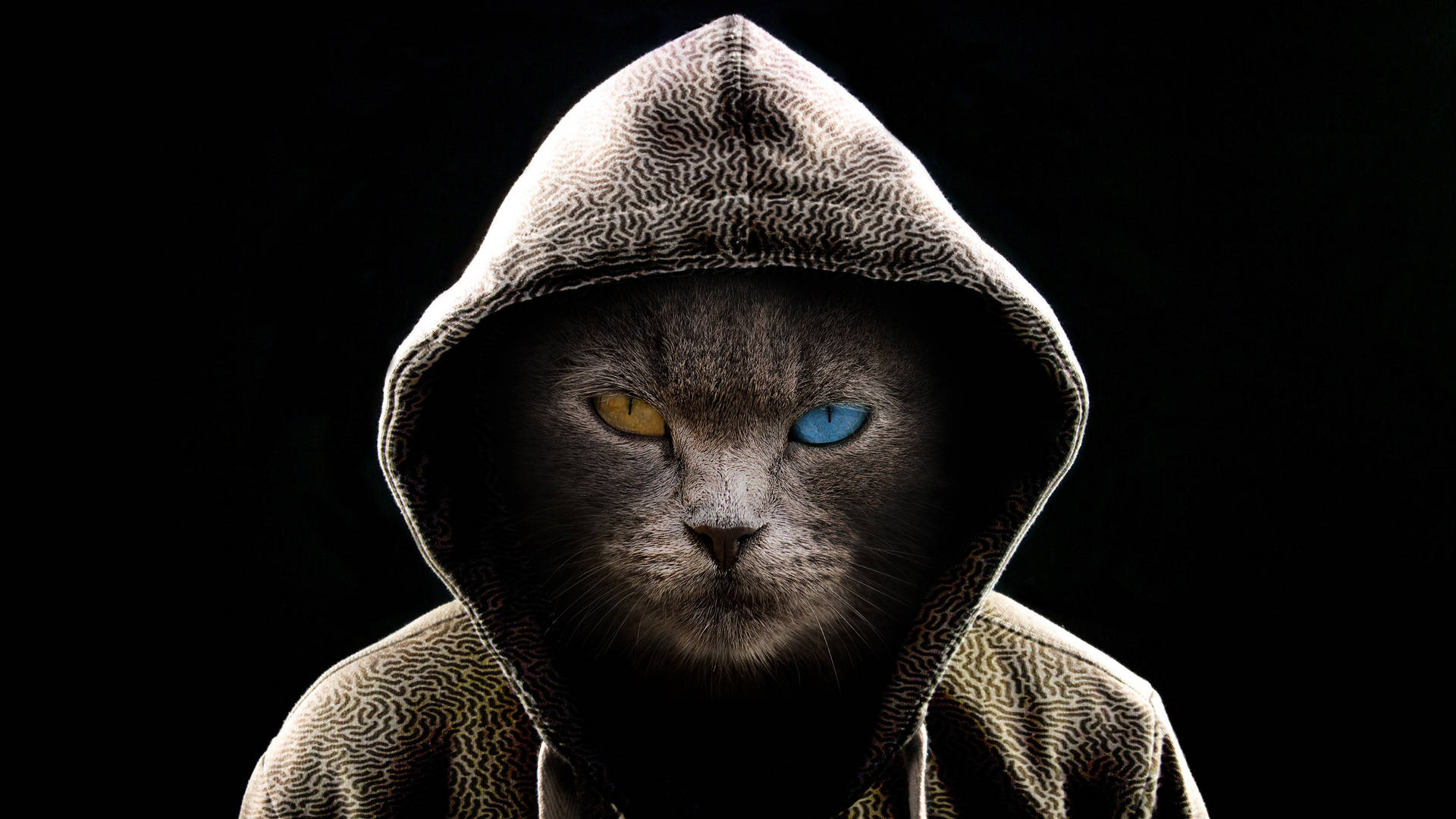 Cat Art Wallpaper