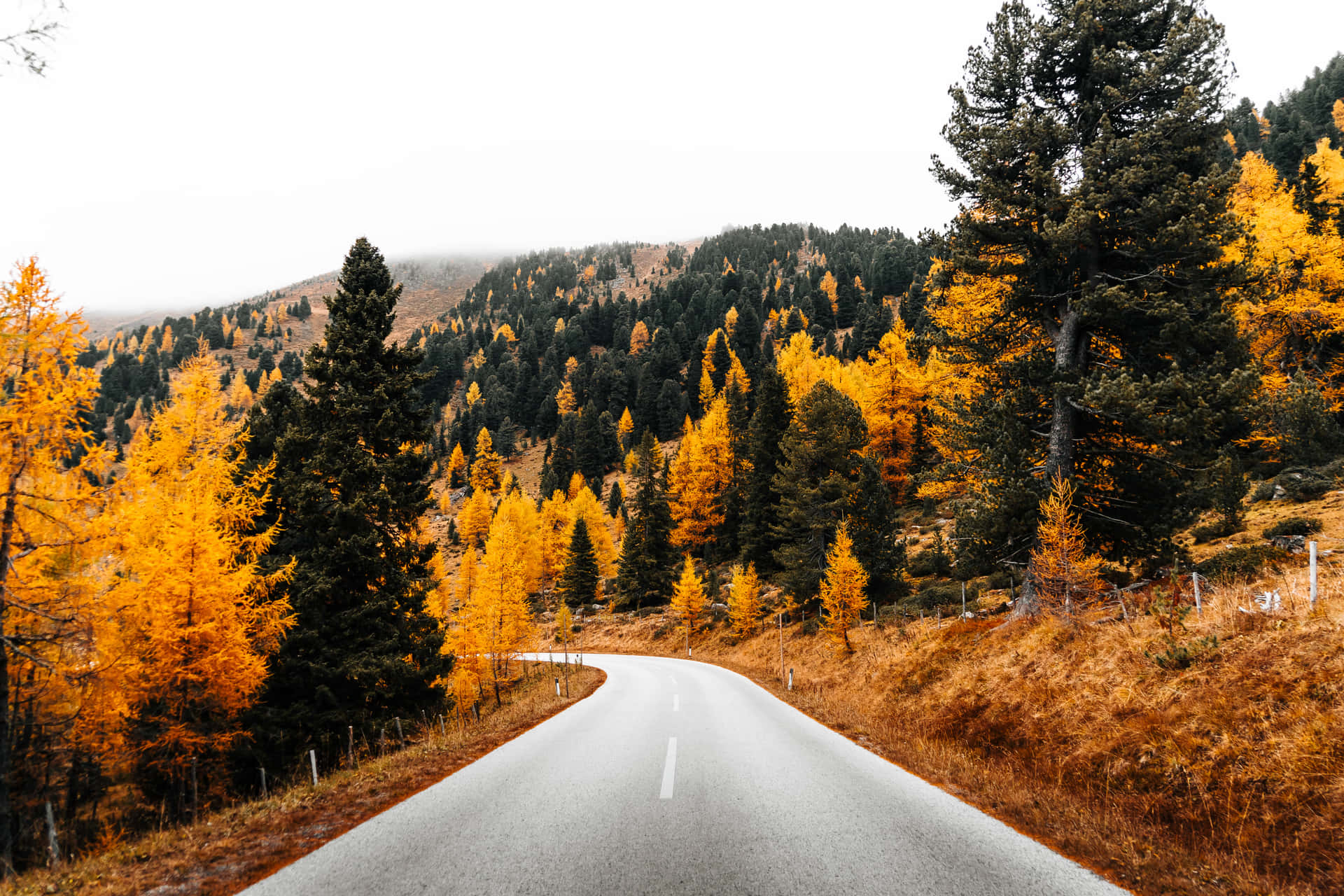 Early Fall Wallpaper