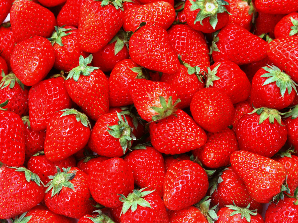Fruit Photography Fresh Strawberry Garden Strawberries 1024x768 NO 1024x768