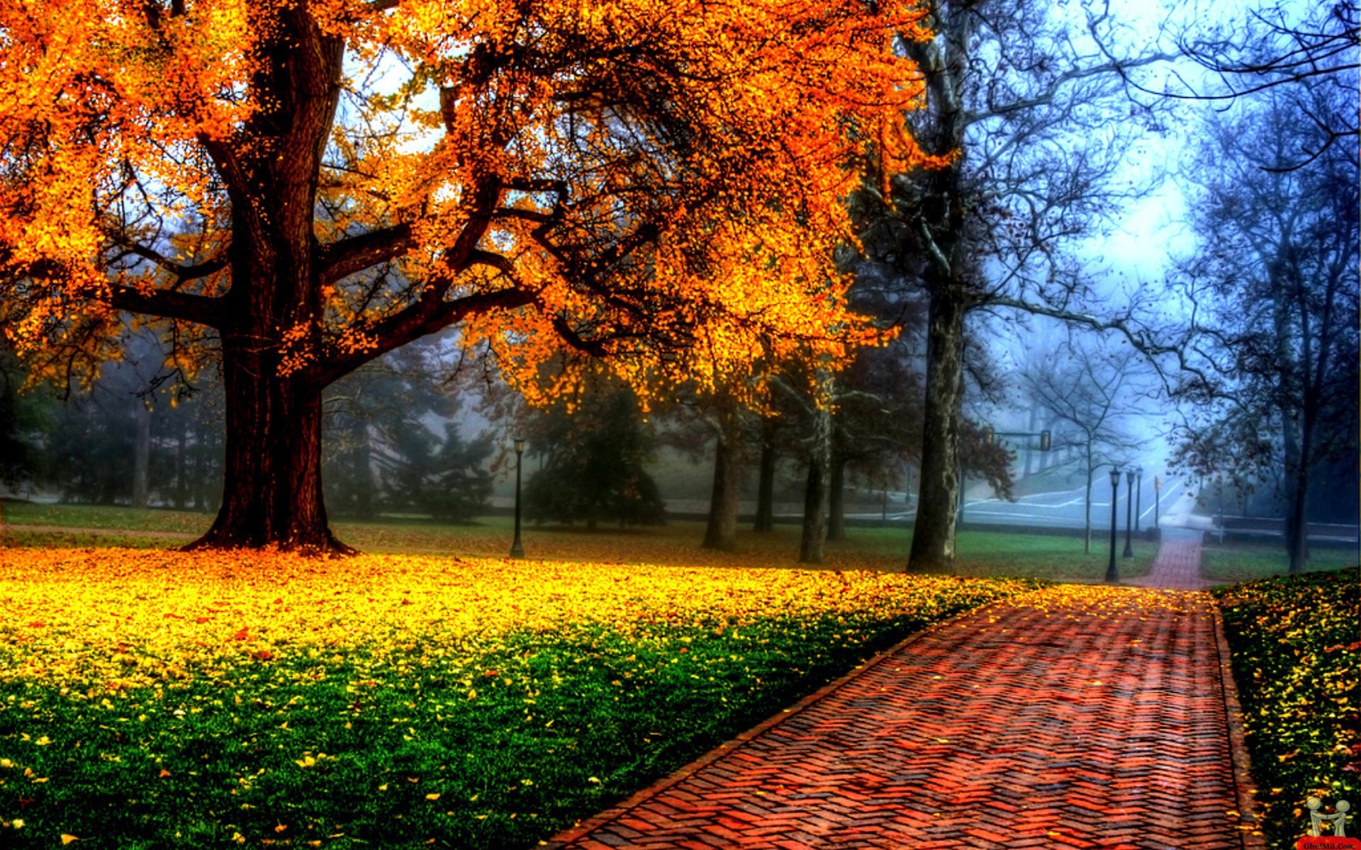 Beautiful HD Wallpaper Top Backgro