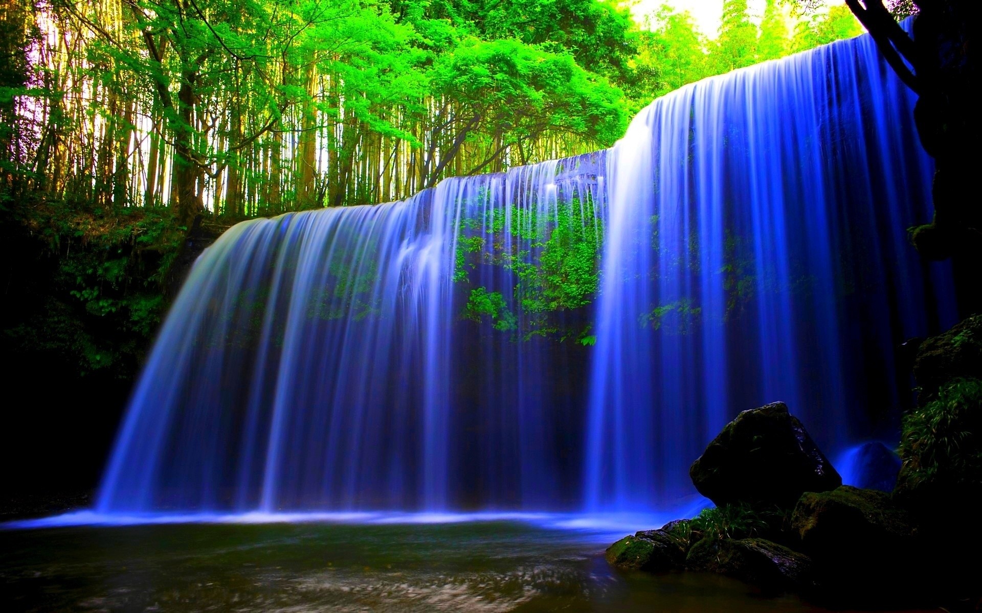 A vibrant live wallpaper featuring a stunning waterfall cascading over rocks in a lush green forest