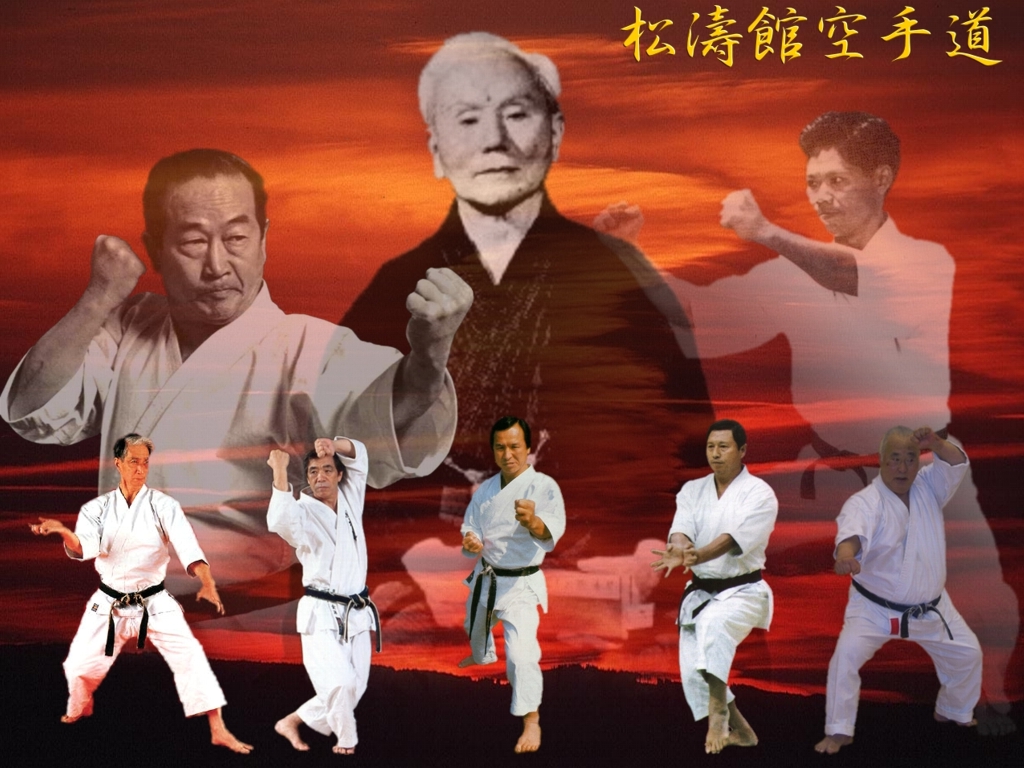 karate shotokan