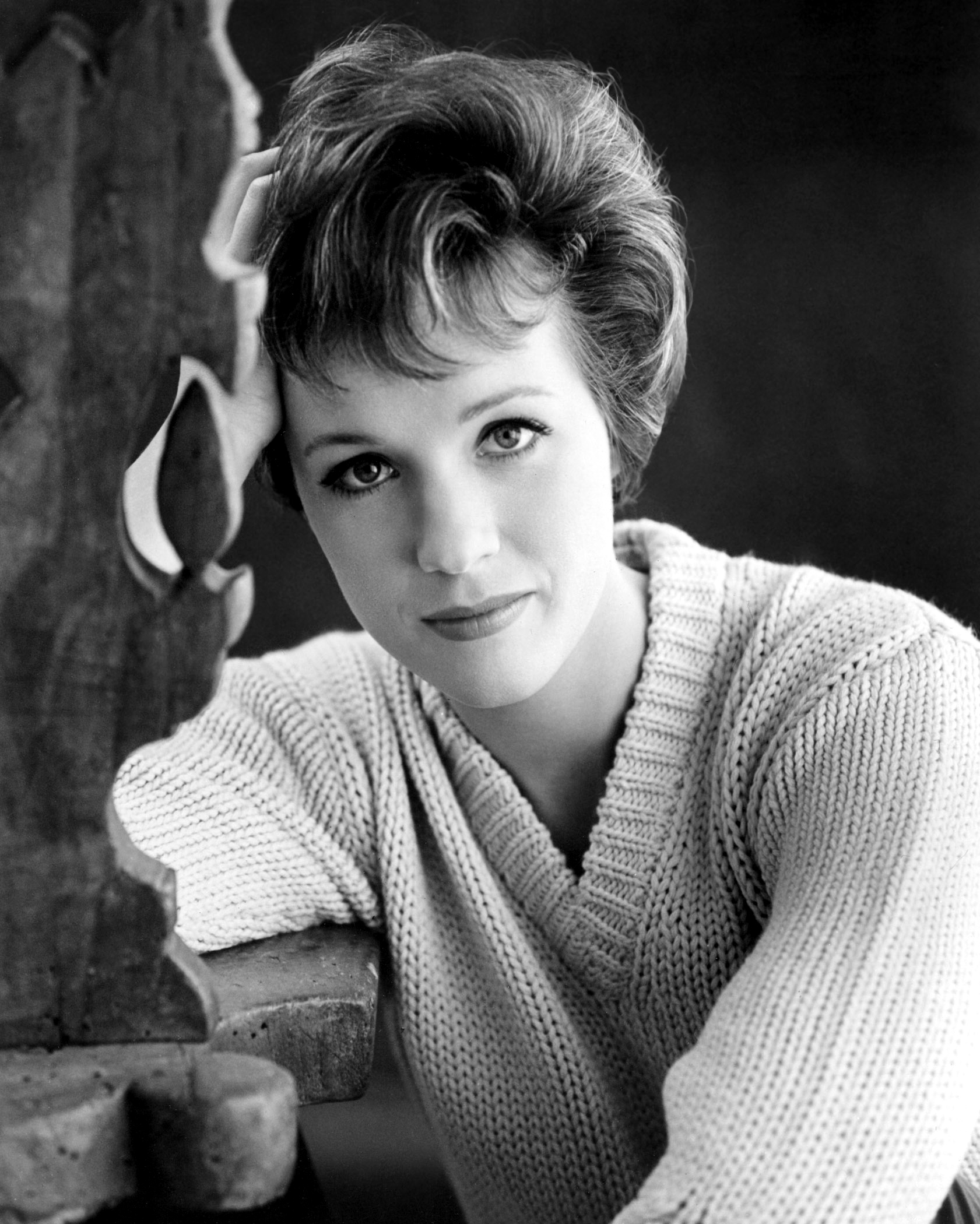 Julie Andrews Wallpaper For Pc Full HD Pictures
