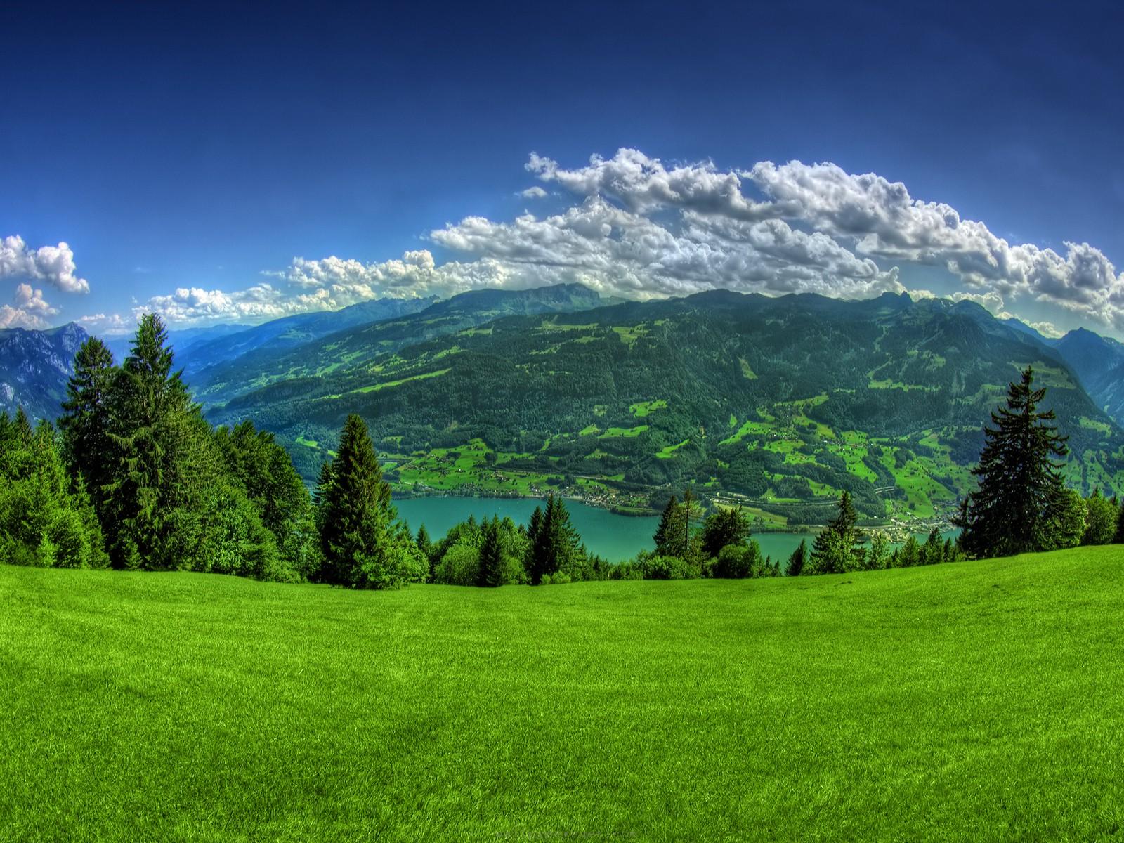 Lush green meadow overlooking a serene lake and rolling hills, with a vibrant blue sky dotted with clouds