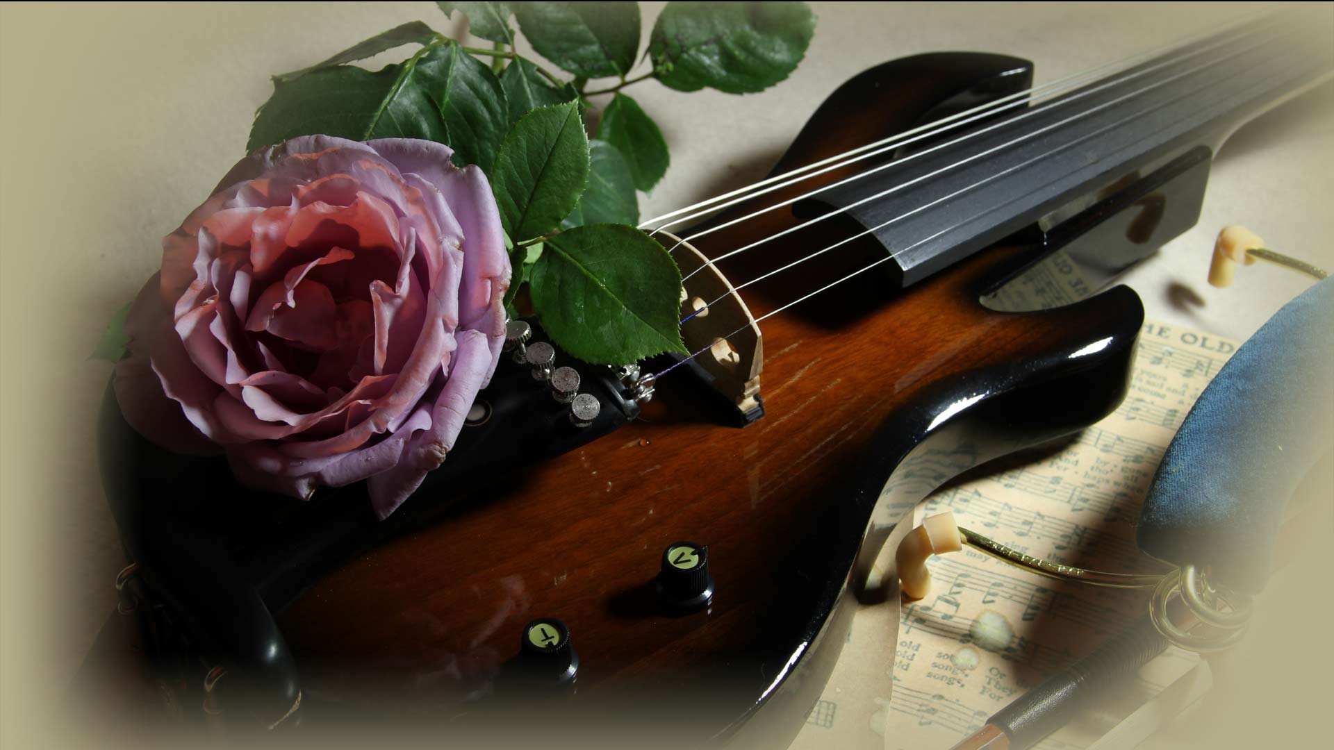 Violin Rose Wallpaper String With A