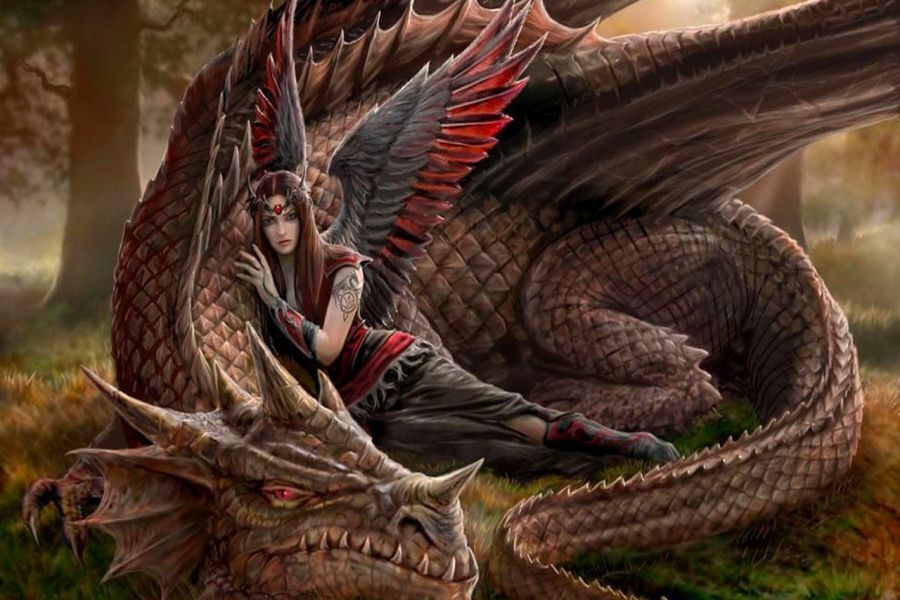 3d Fantasy Dragon Girl Wings Wallpaper D