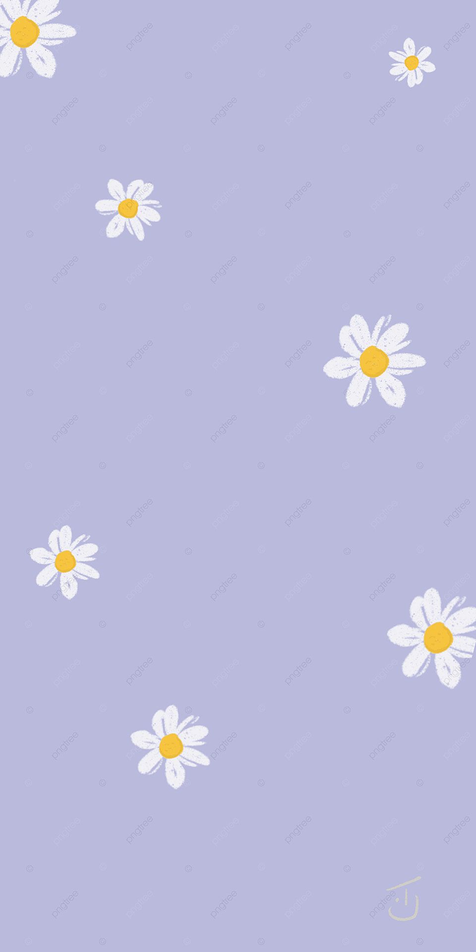 Small Daisy Purple Mobile Phone Wallpaper Background Cute Flower