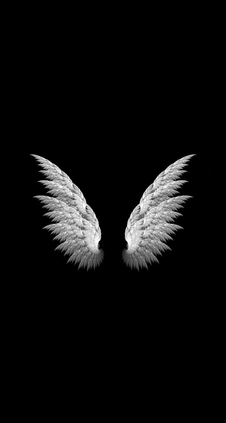 Angel Wings Simple iPhone 6 Plus HD Wallpaper iPod Wallpaper HD