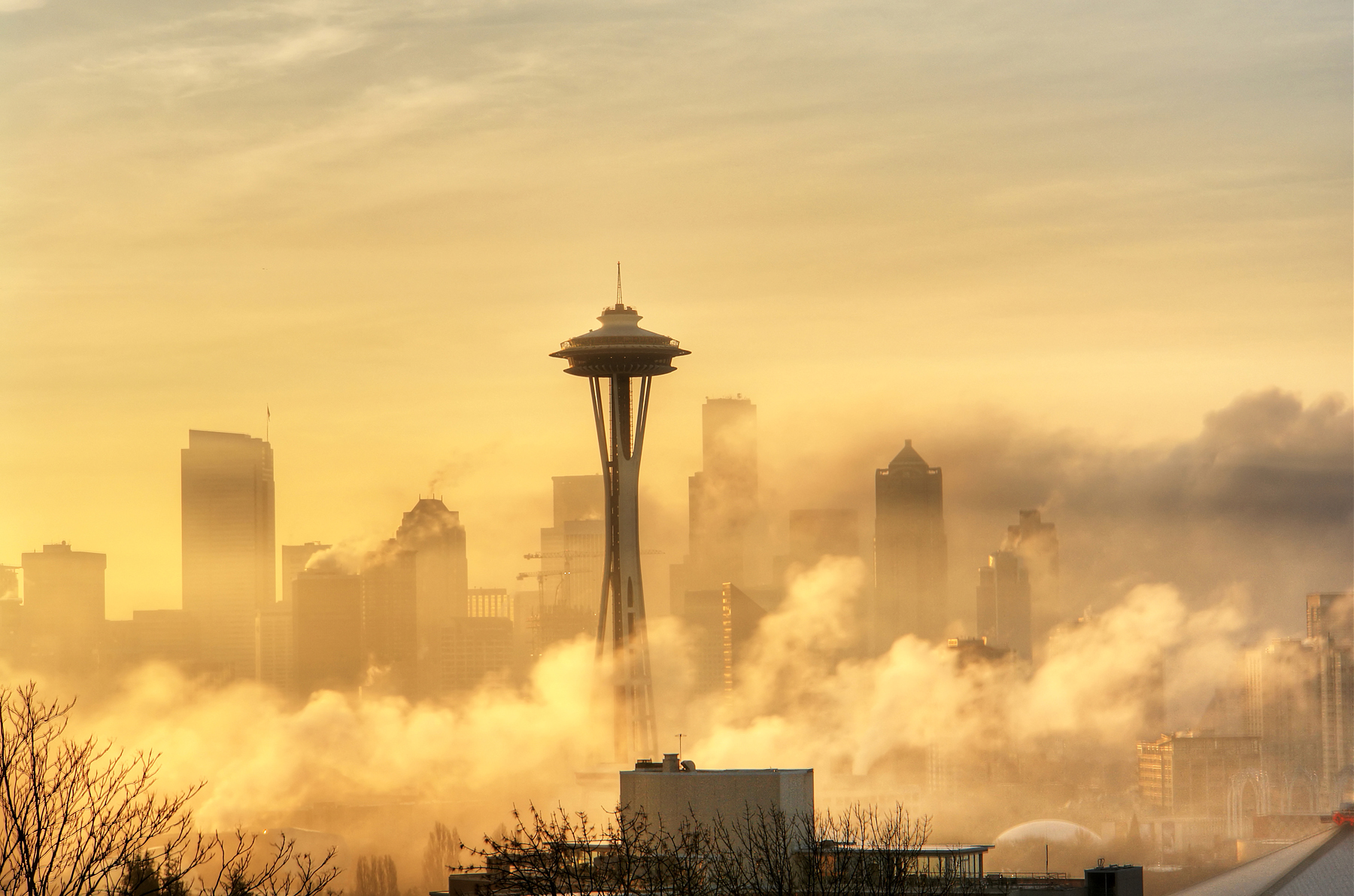 Cityscapes Seattle Fog Space Needle