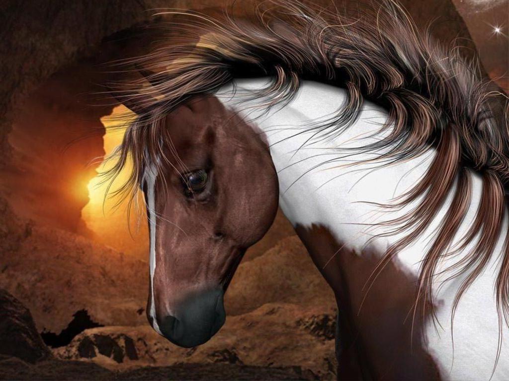 Pictures Beautiful Paint Horse