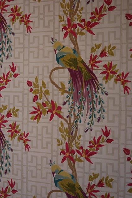 Nina Campbell Paradiso Wallpaper Love