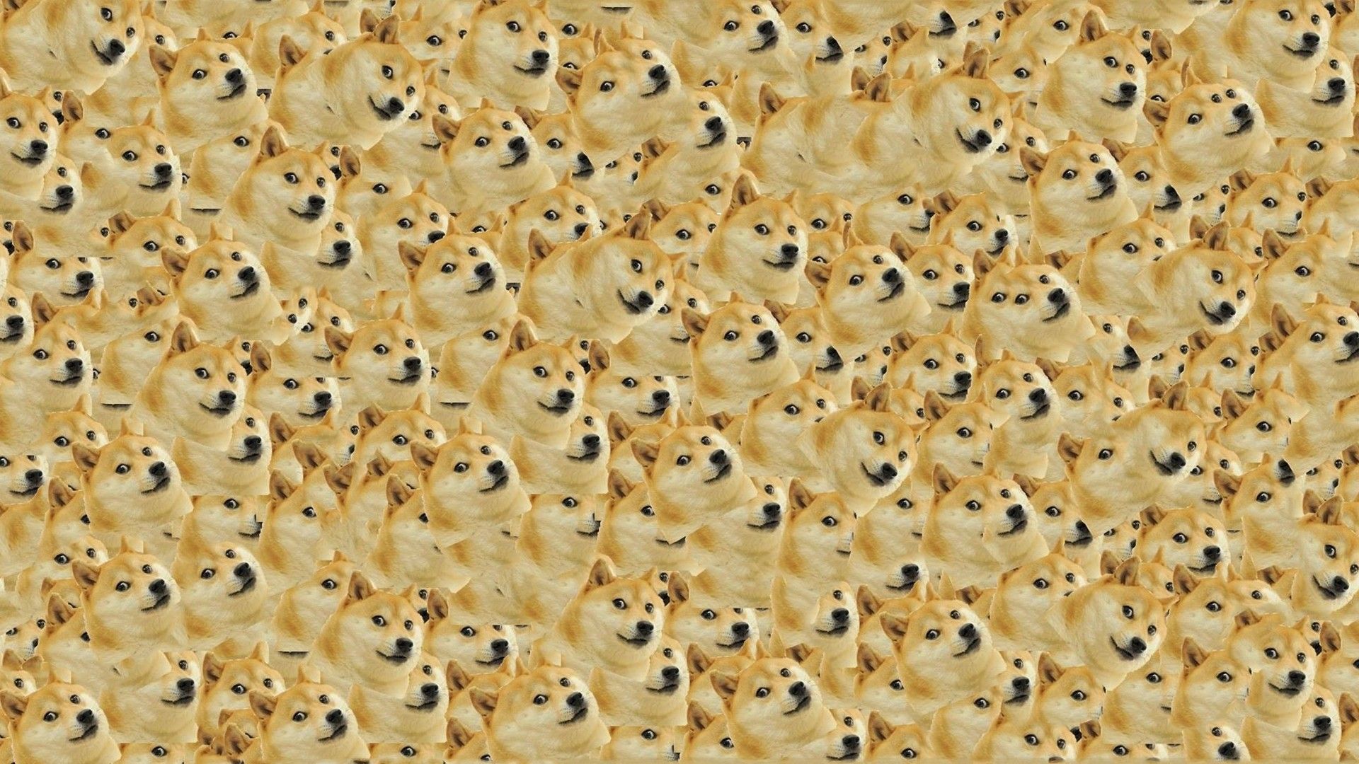 🔥 Free Download Doge Meme Wallpaper by @jeffreylewis | WallpaperSafari