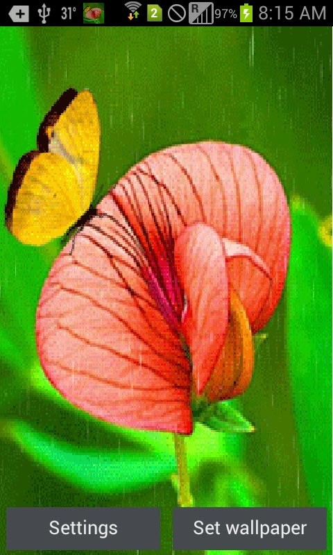 Butterfly In Rain Live Wallpaper Android