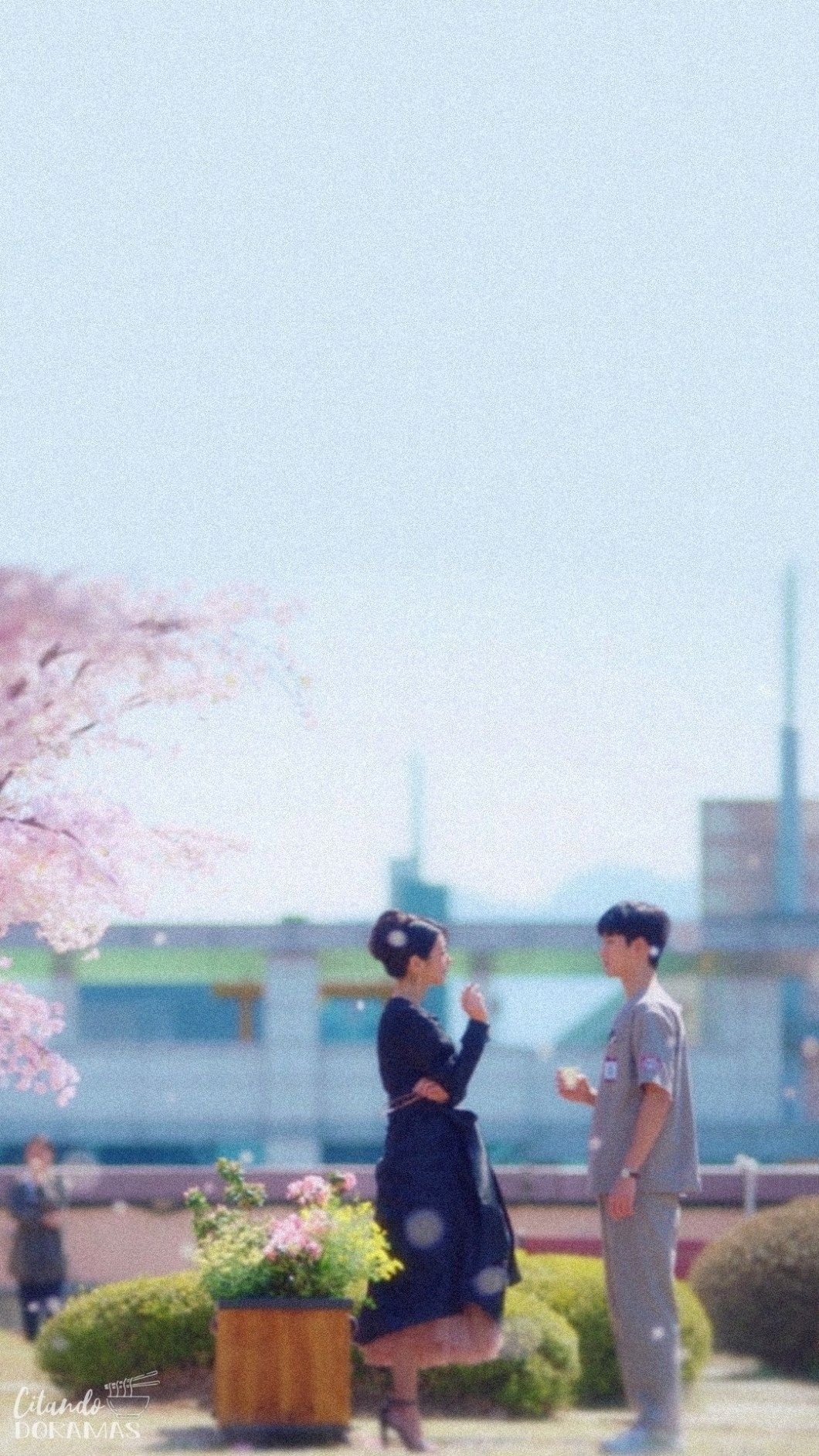 Korean Drama Wallpaper