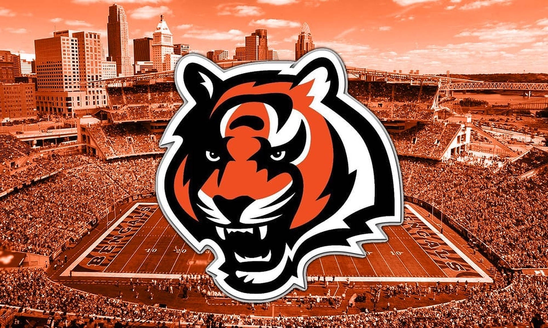 Top Cincinnati Bengals Wallpaper Full HD 4k To Use