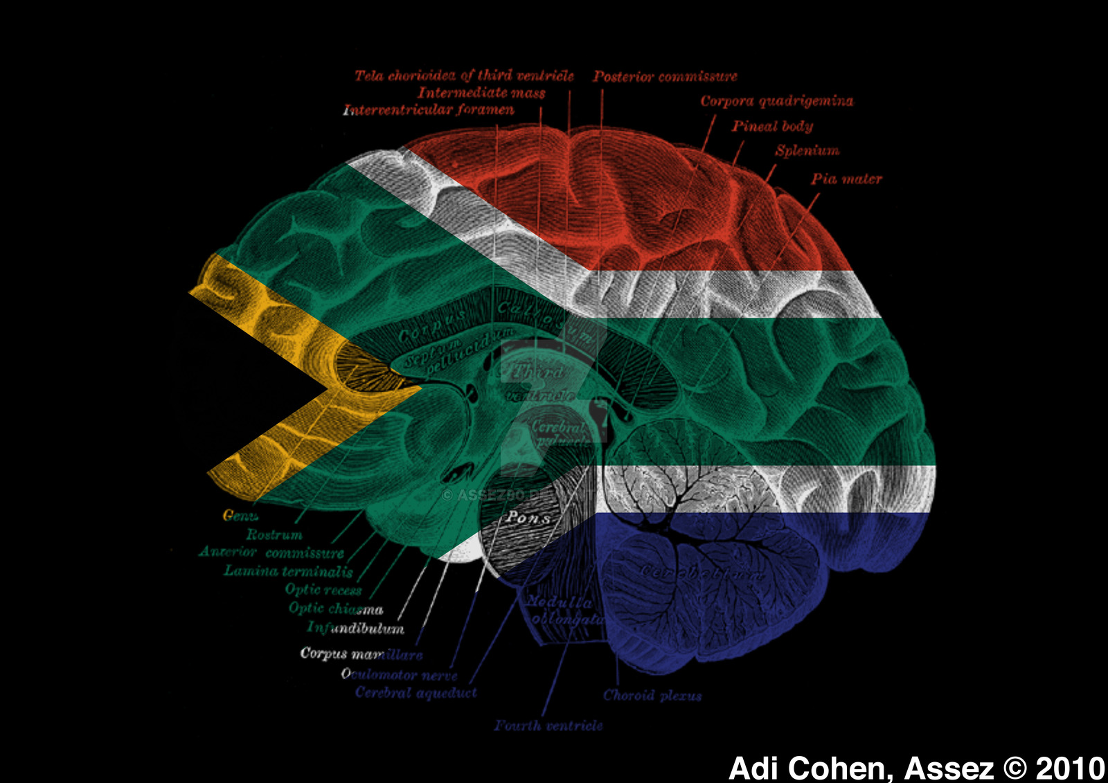 My South African Flag By Assez90