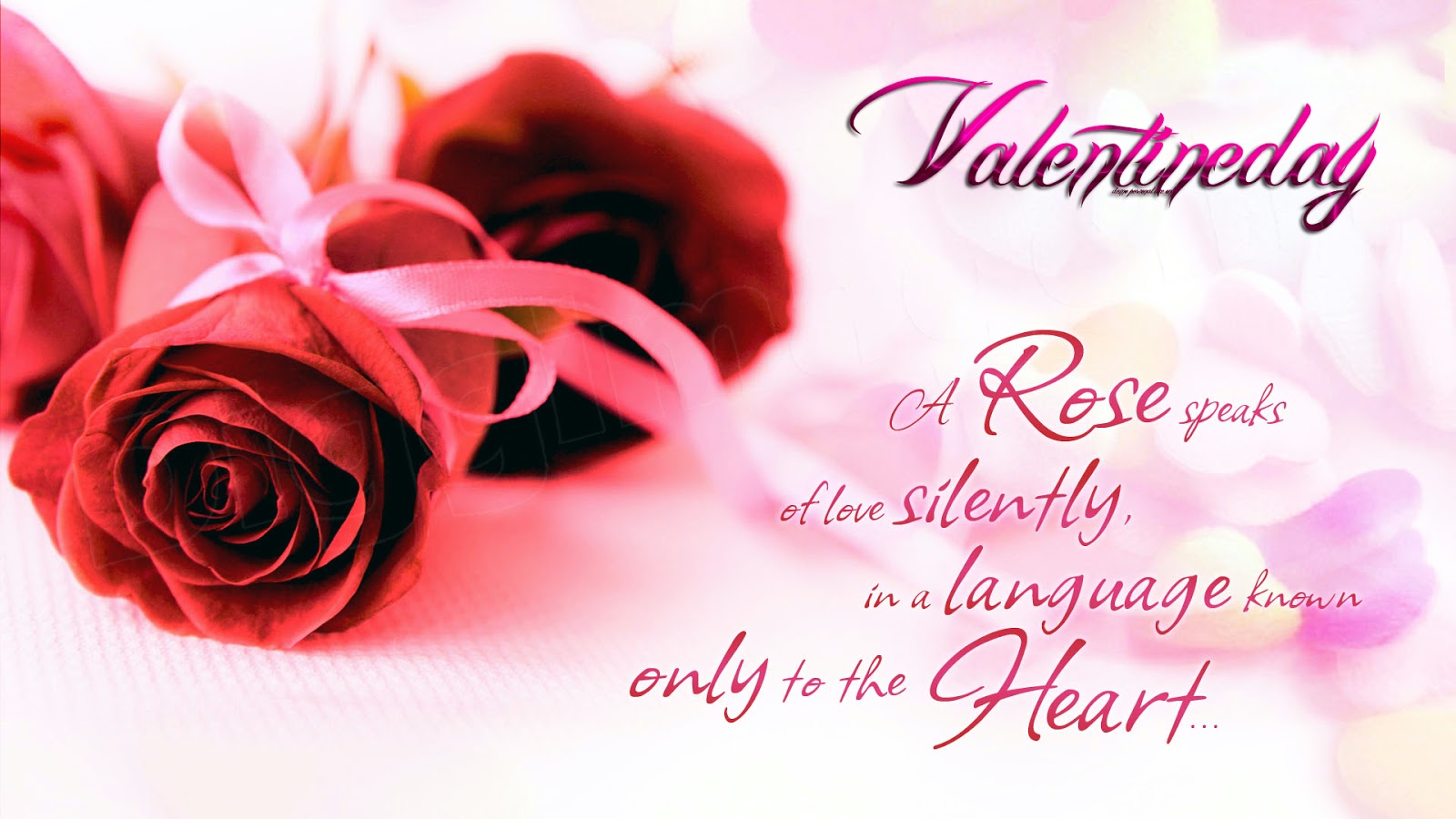 Happy Rose Day Wishes Wallpaper Greetings Messages Quotes
