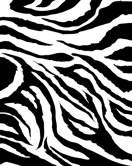 Zebra Print The Animal Life