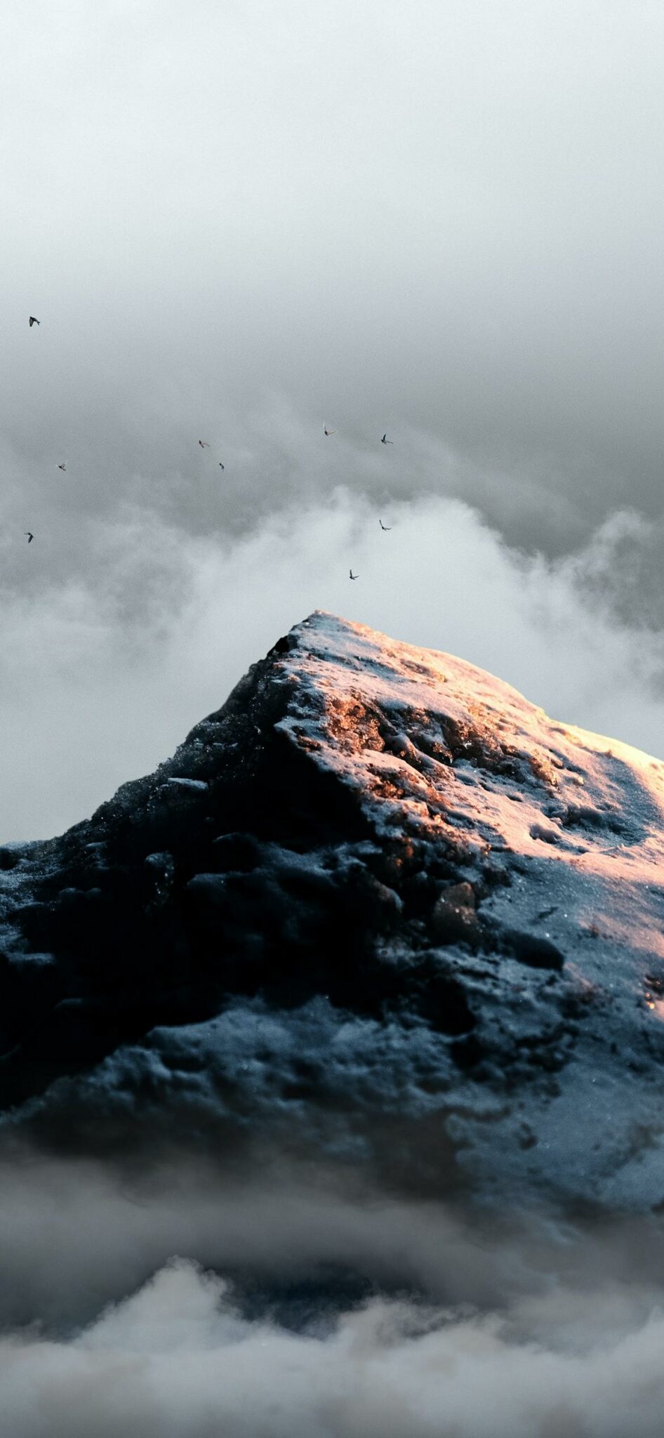 Wallpaper