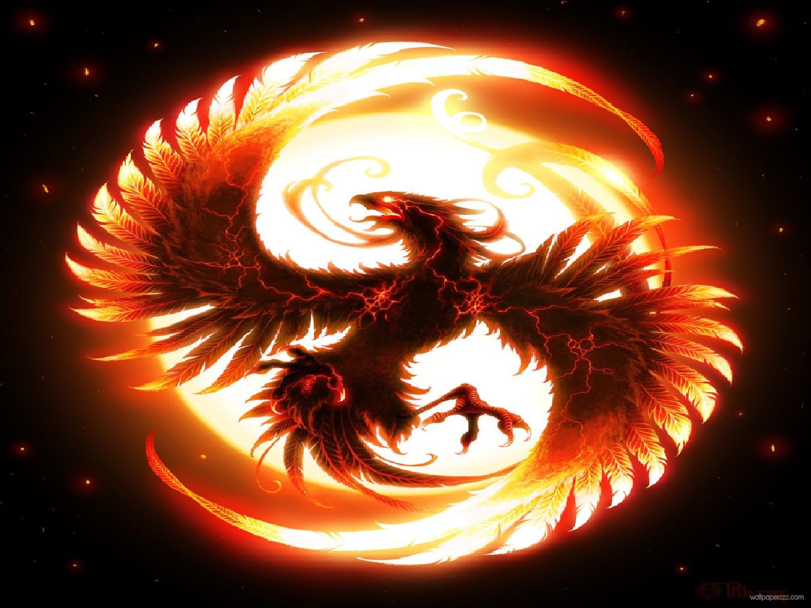 Fire Dragon Wallpaper HD Pics
